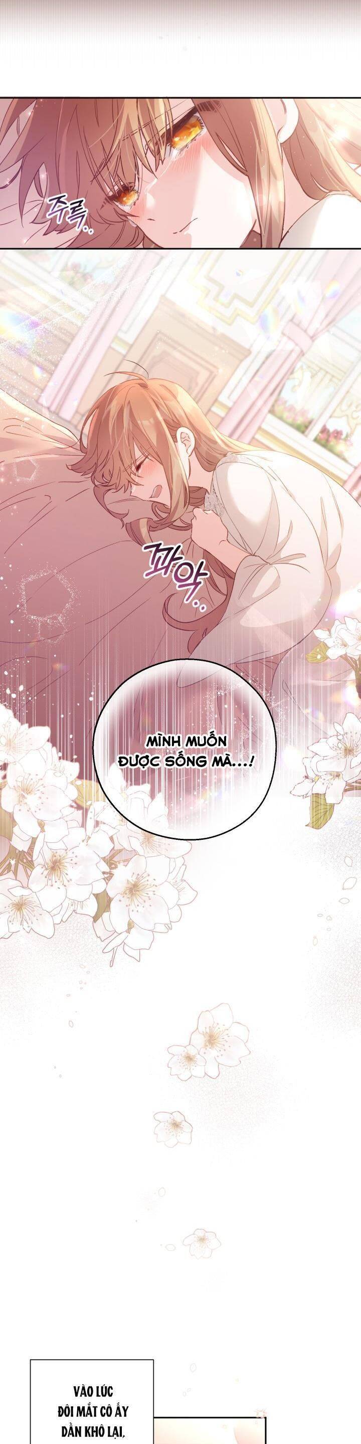 Không Có Nơi Nào Dành Cho Công Chúa Giả Mạo Chapter 4 - Trang 2