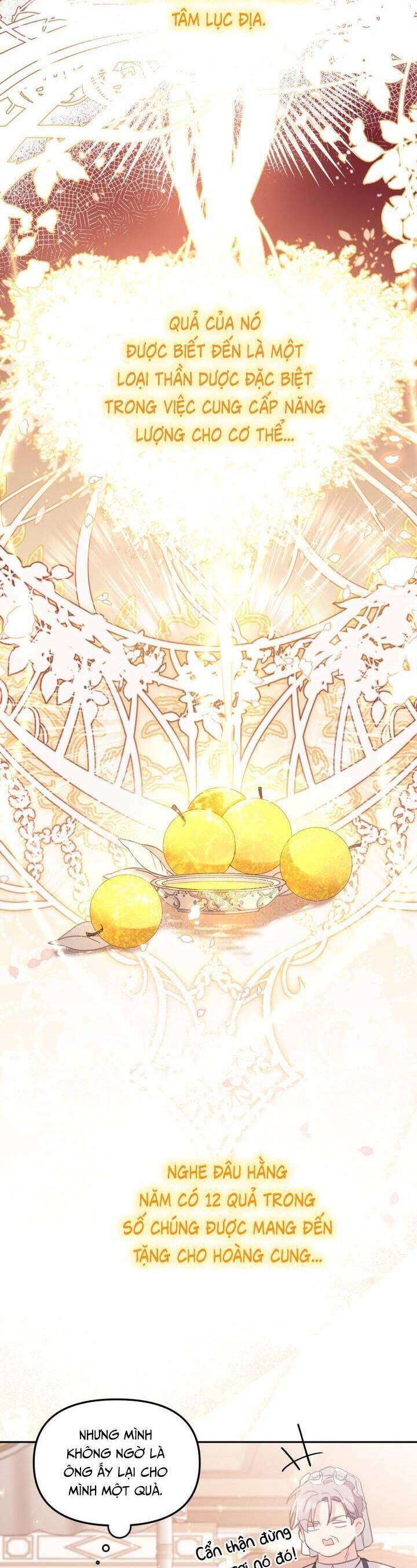 Không Có Nơi Nào Dành Cho Công Chúa Giả Mạo Chapter 5 - Trang 2