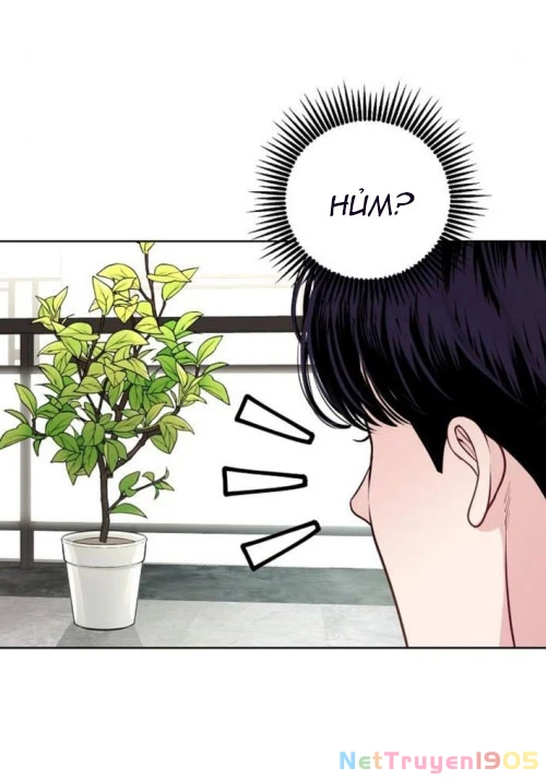 Không Gian Bí Mật Của Luật Sư Phi Thường Chapter 8 - Trang 2