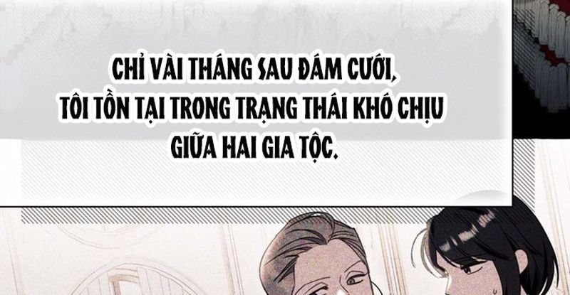 Không Phải Câu Chuyện Chuyển Sinh Thông Thường Chapter 65 - Trang 2