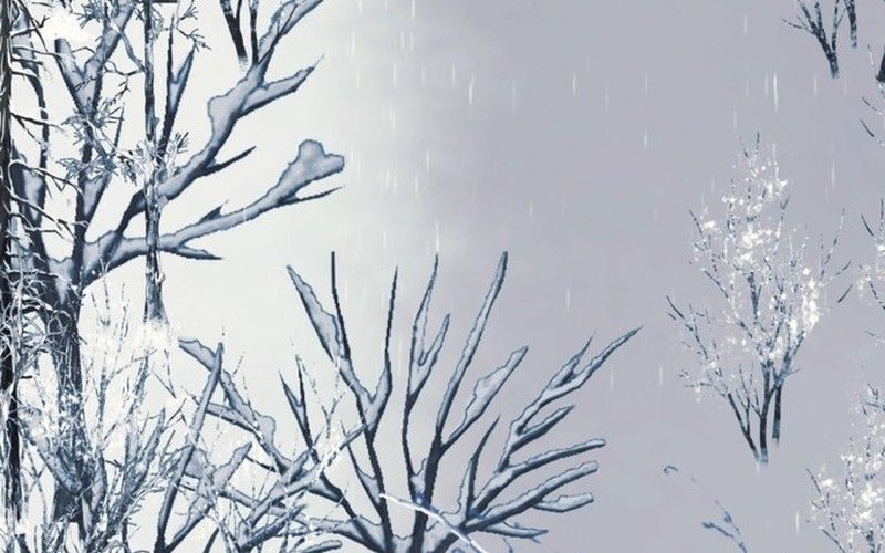 Không Phải Câu Chuyện Chuyển Sinh Thông Thường Chapter 75 - Trang 2