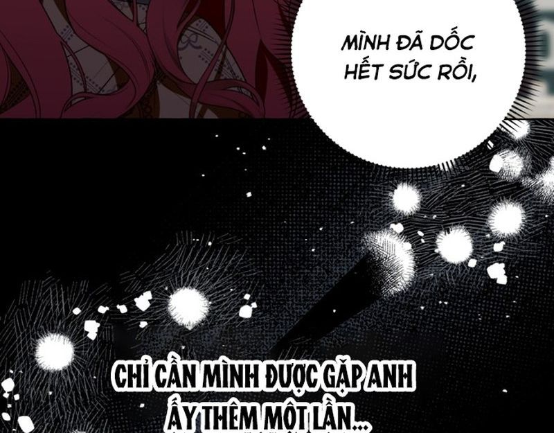 Không Phải Câu Chuyện Chuyển Sinh Thông Thường Chapter 80 - Trang 2