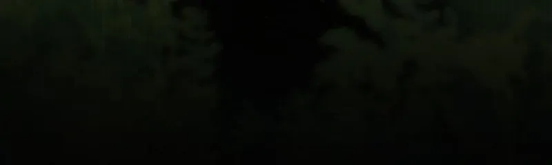 Không Thể Thoát Khỏi Người Chapter 37.6 - Trang 2