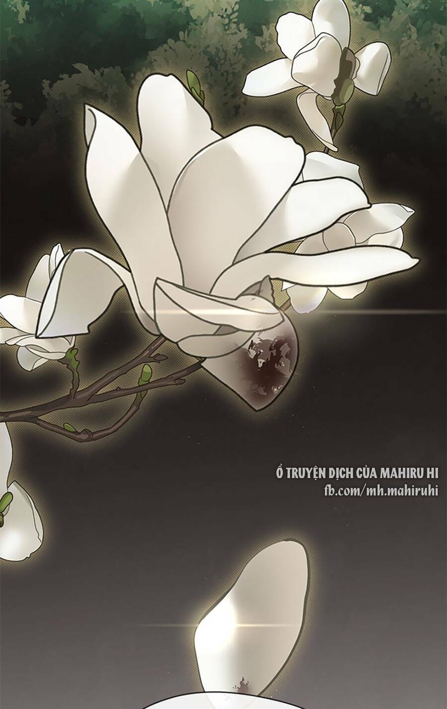 Không Thể Thoát Khỏi Người Chapter 53 - Trang 2