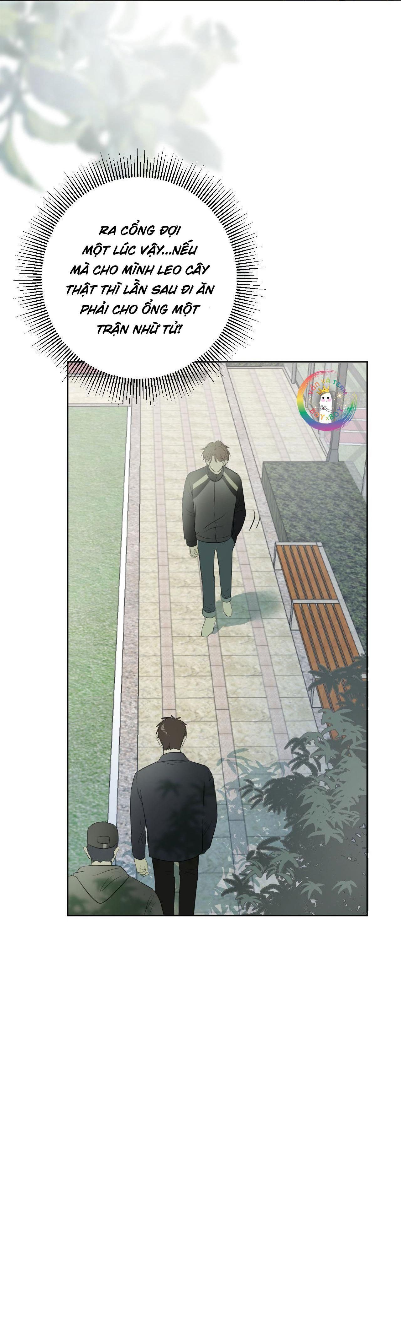 Không Tỳ Vết Chapter 1 - Trang 2