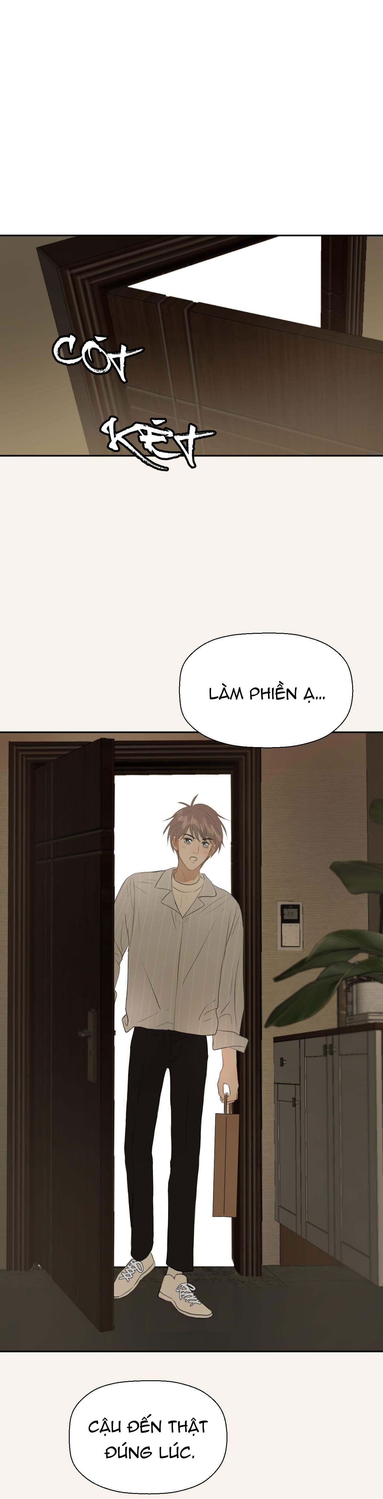 Không Tỳ Vết Chapter 4 - Trang 2