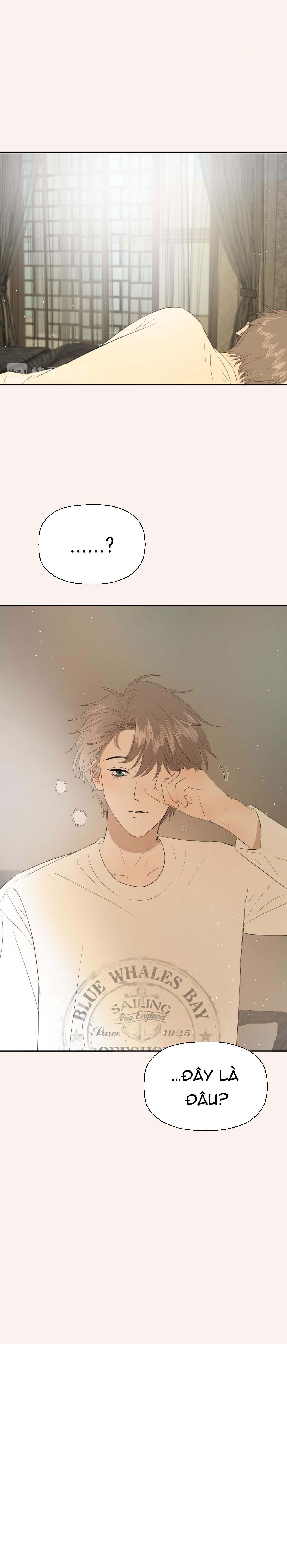 Không Tỳ Vết Chapter 4 - Trang 2
