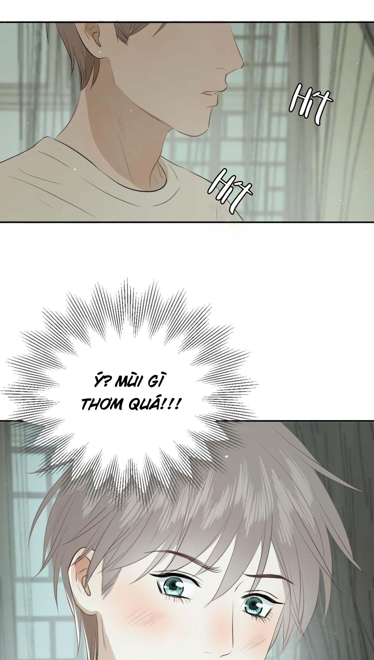 Không Tỳ Vết Chapter 5 - Trang 2