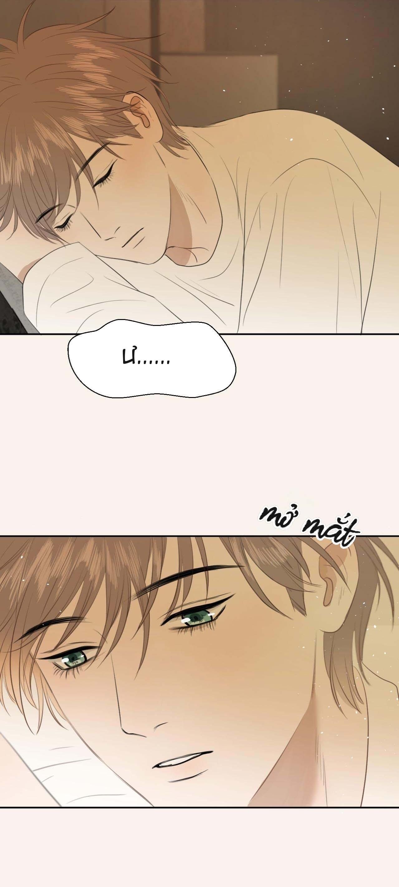 Không Tỳ Vết Chapter 5 - Trang 2