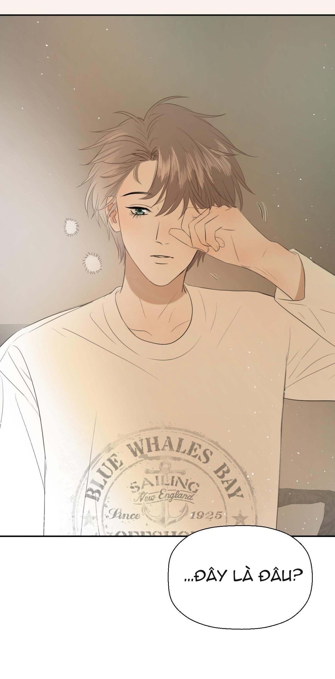 Không Tỳ Vết Chapter 5 - Trang 2
