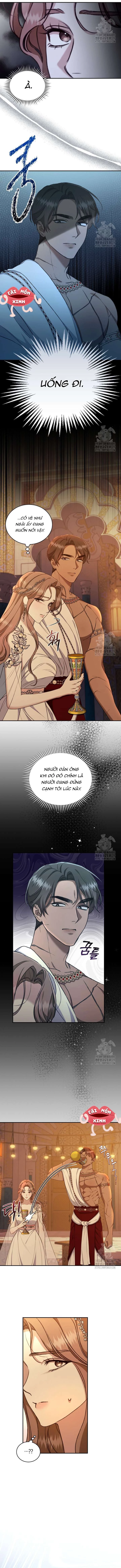 Khu Rừng Hoang Dã Chapter 23 - Trang 2
