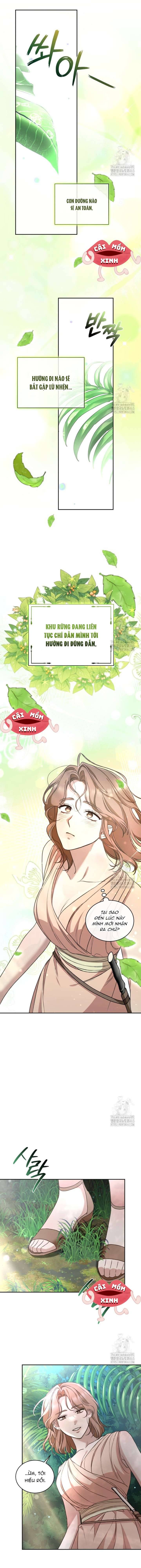 Khu Rừng Hoang Dã Chapter 47 - Trang 2