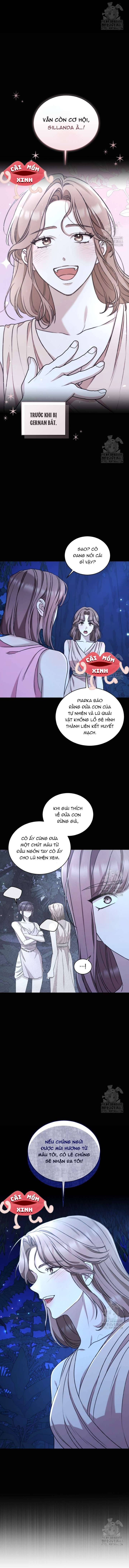 Khu Rừng Hoang Dã Chapter 47 - Trang 2