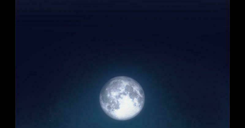 Khúc Hát Người Cá Siren Chapter 2 - Trang 2