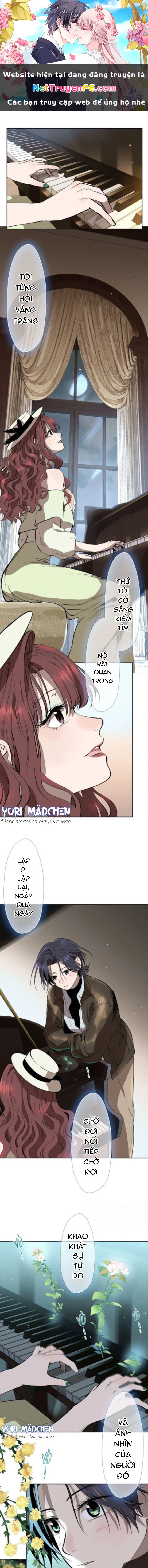 Khúc Hát Vượt Trần Thế Chapter 11 - Trang 2