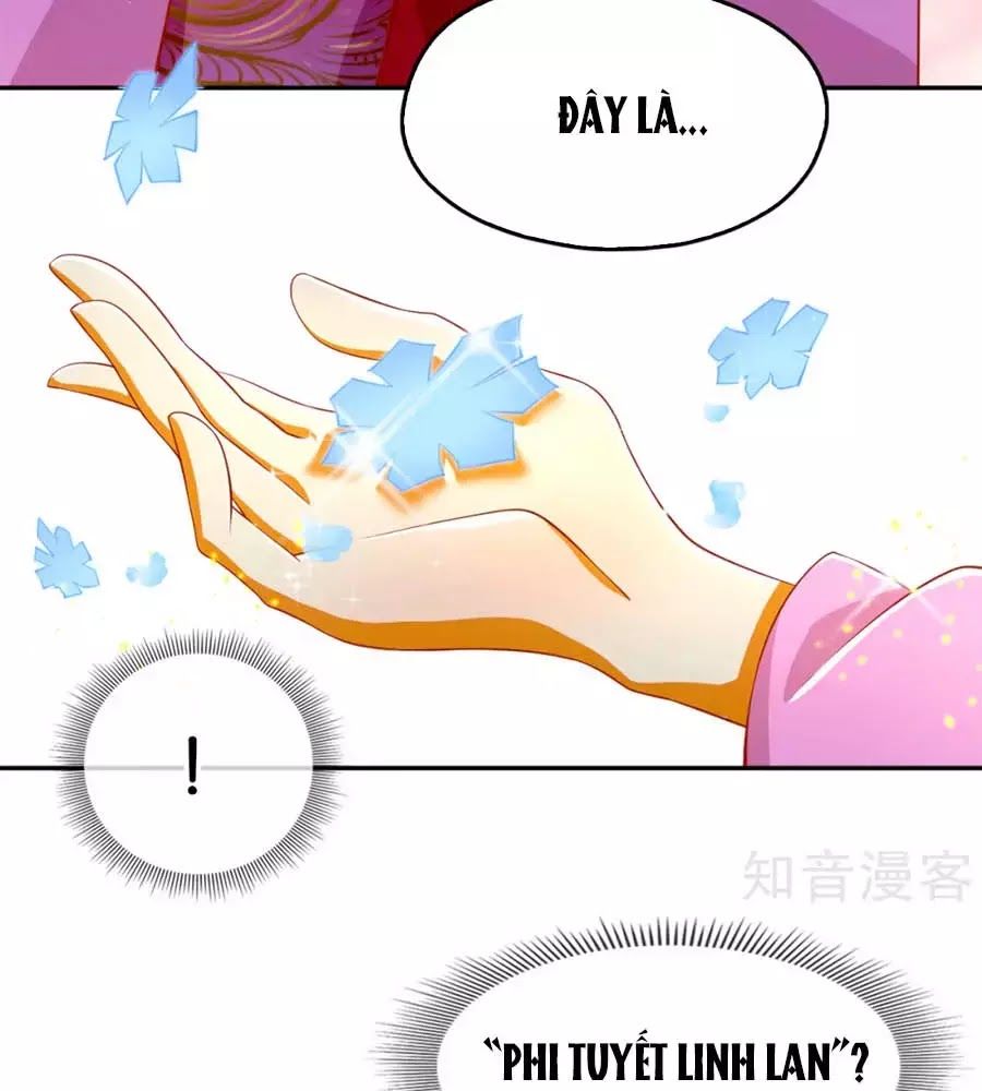 Khuynh Thành Cuồng Phi Của Tà Vương Chapter 104 - Trang 2