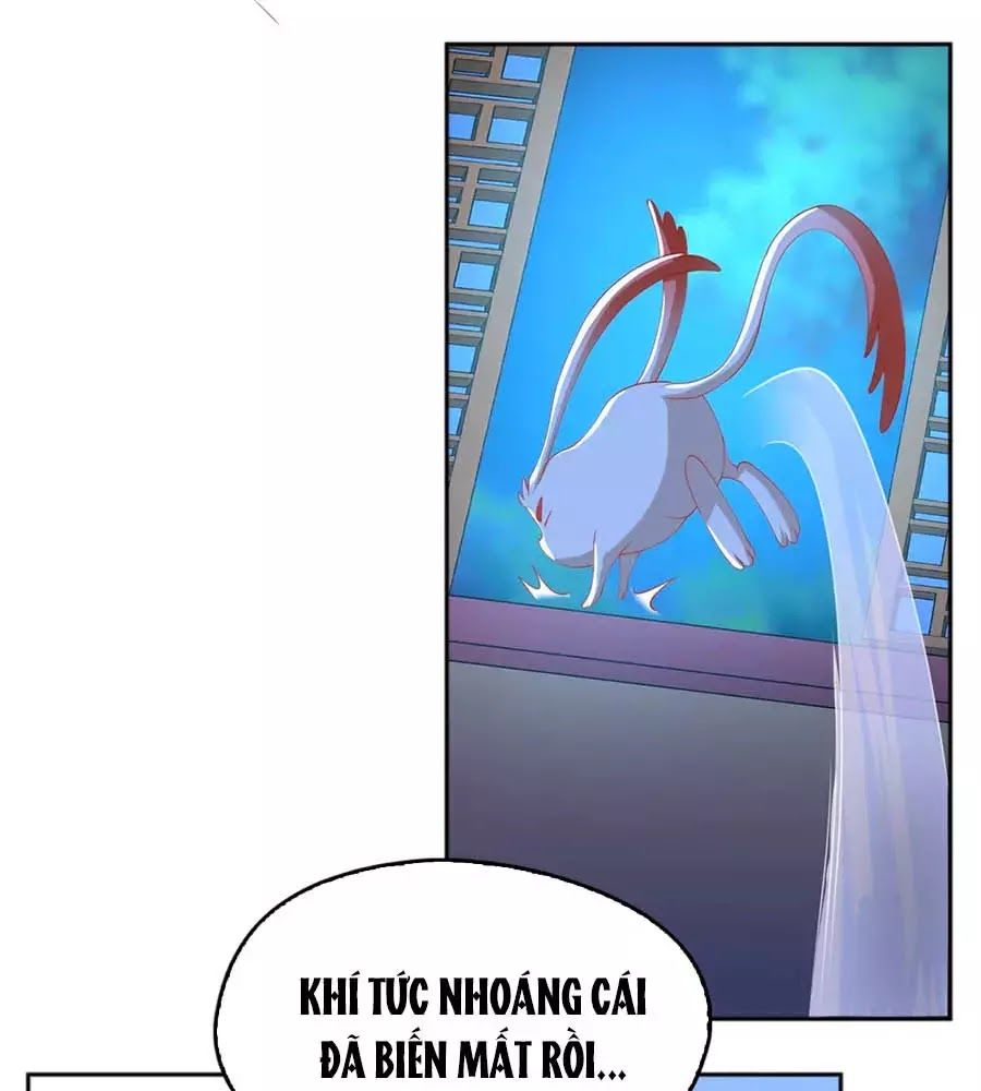 Khuynh Thành Cuồng Phi Của Tà Vương Chapter 105 - Trang 2