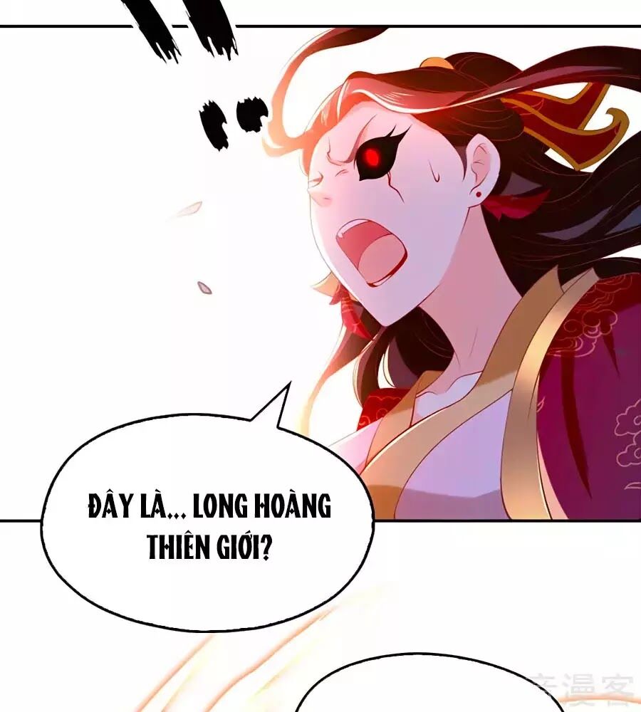 Khuynh Thành Cuồng Phi Của Tà Vương Chapter 116 - Trang 2