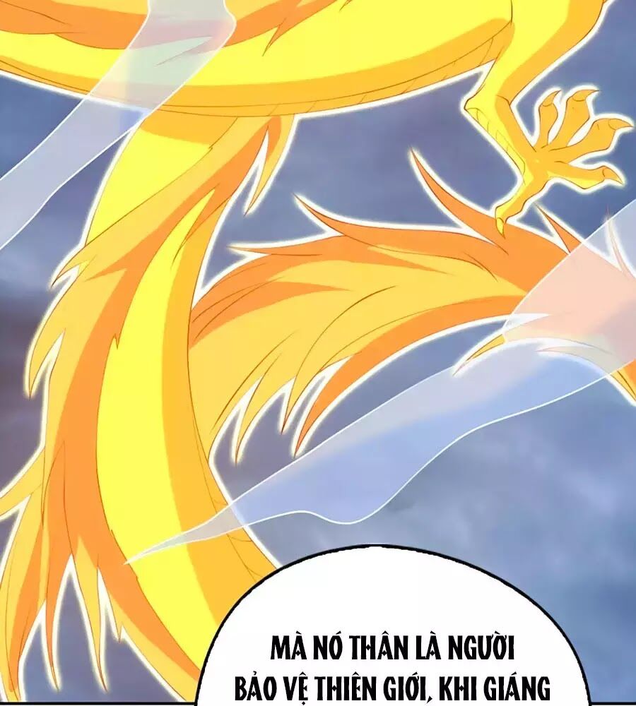 Khuynh Thành Cuồng Phi Của Tà Vương Chapter 116 - Trang 2