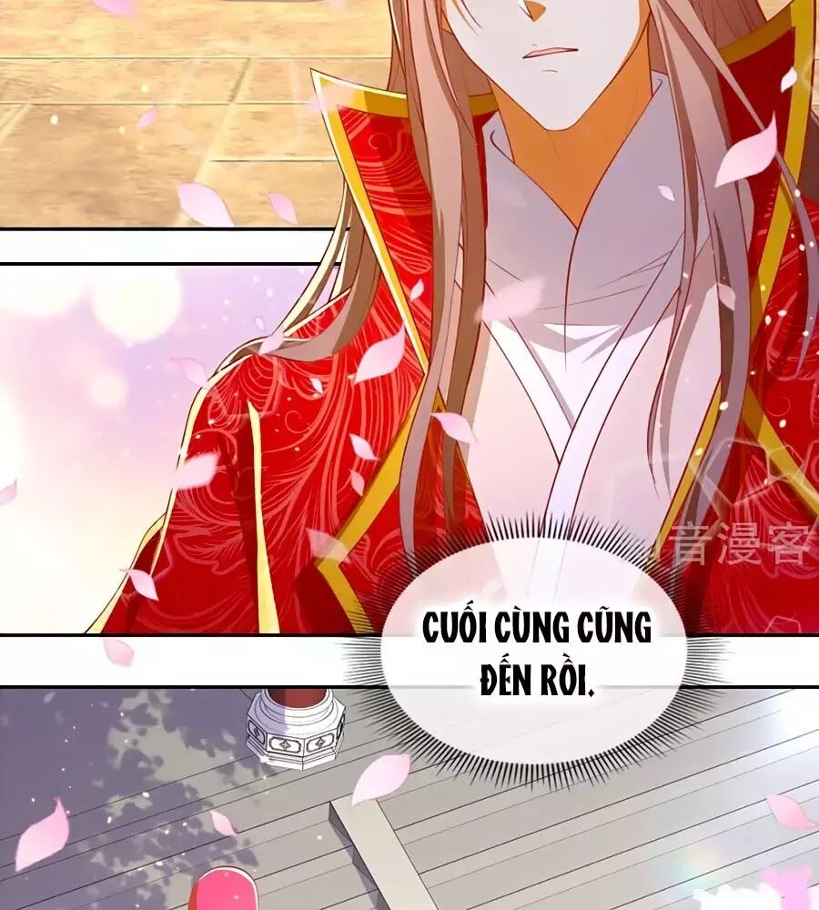 Khuynh Thành Cuồng Phi Của Tà Vương Chapter 119 - Trang 2