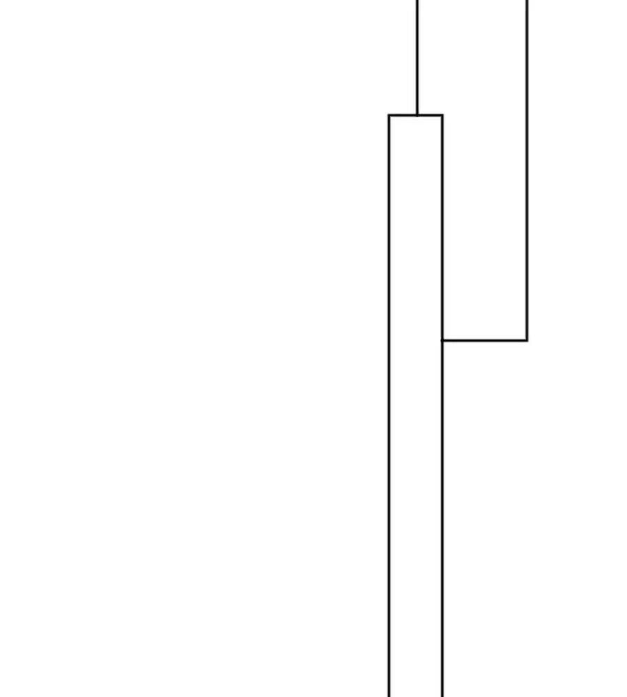 Khuynh Thành Cuồng Phi Của Tà Vương Chapter 120 - Trang 2
