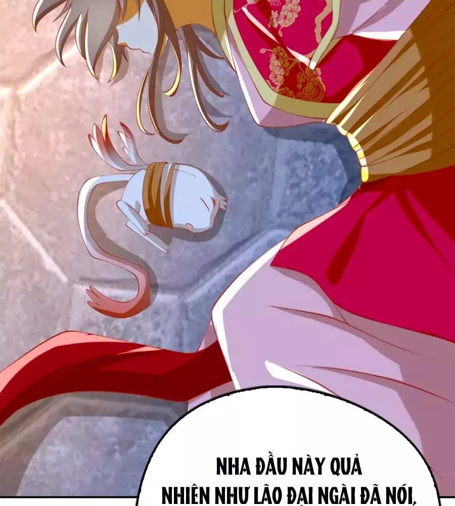 Khuynh Thành Cuồng Phi Của Tà Vương Chapter 120 - Trang 2