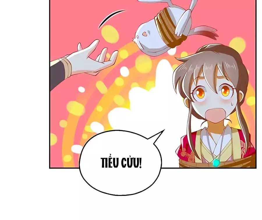 Khuynh Thành Cuồng Phi Của Tà Vương Chapter 122 - Trang 2