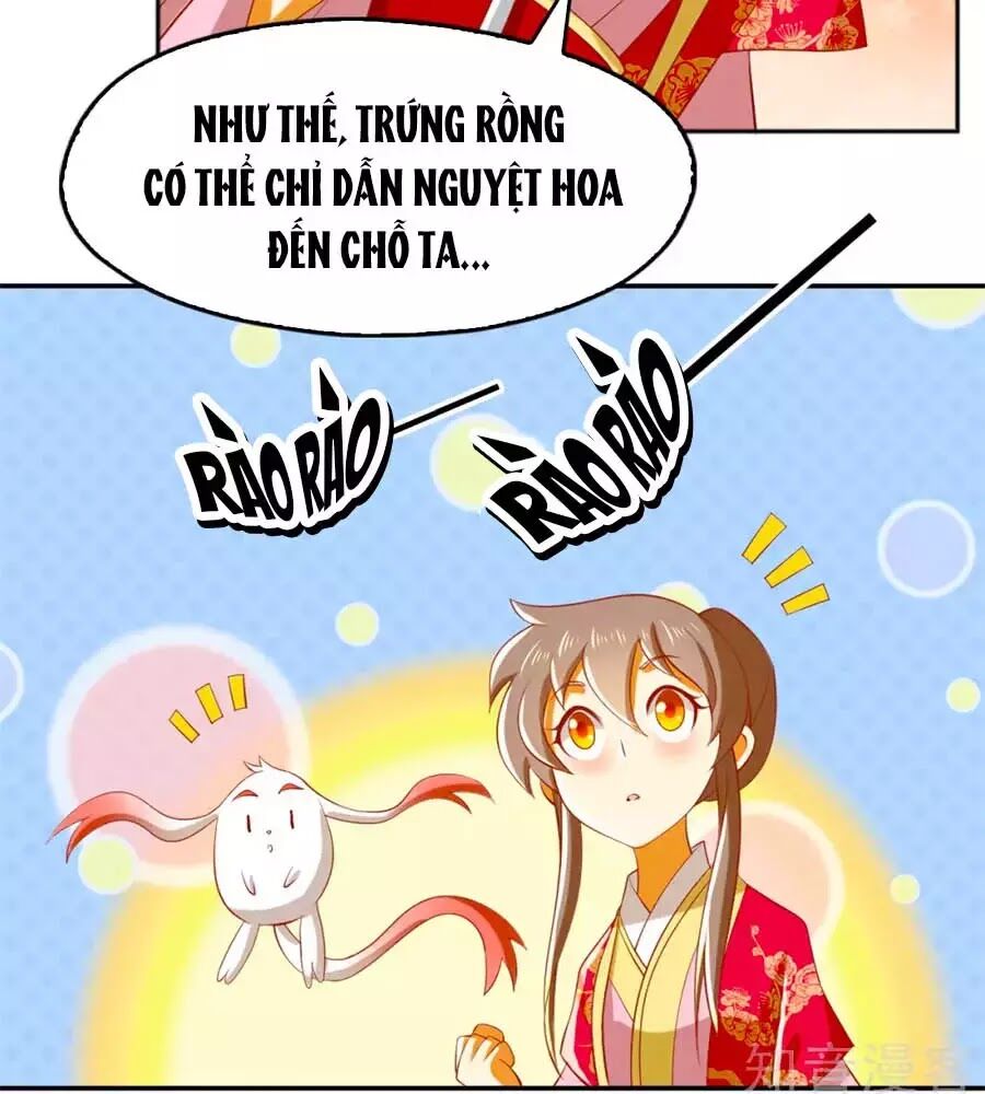 Khuynh Thành Cuồng Phi Của Tà Vương Chapter 124 - Trang 2