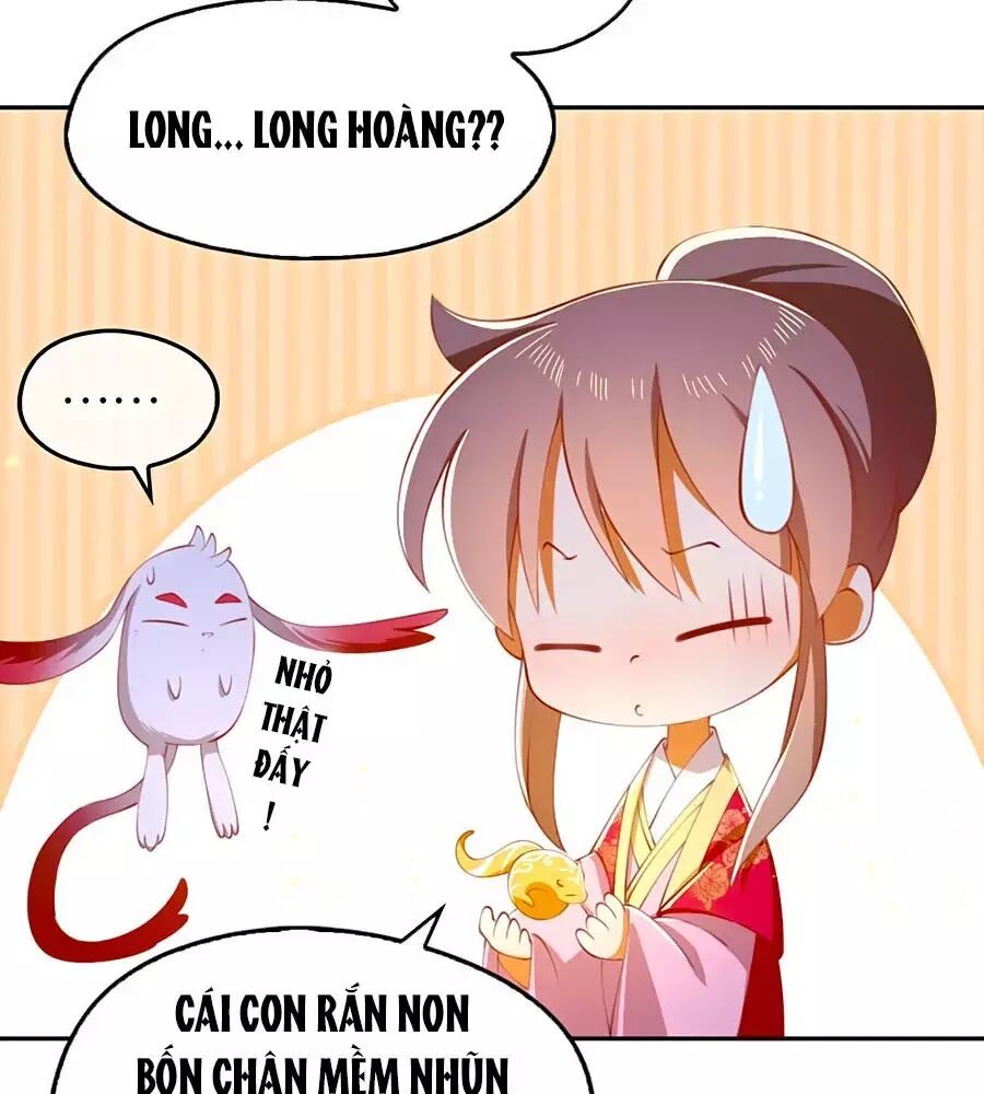 Khuynh Thành Cuồng Phi Của Tà Vương Chapter 125 - Trang 2