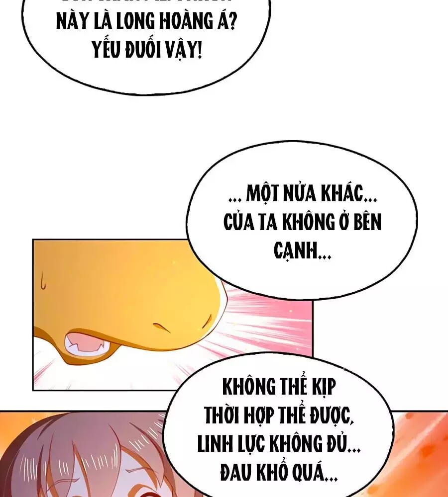 Khuynh Thành Cuồng Phi Của Tà Vương Chapter 125 - Trang 2