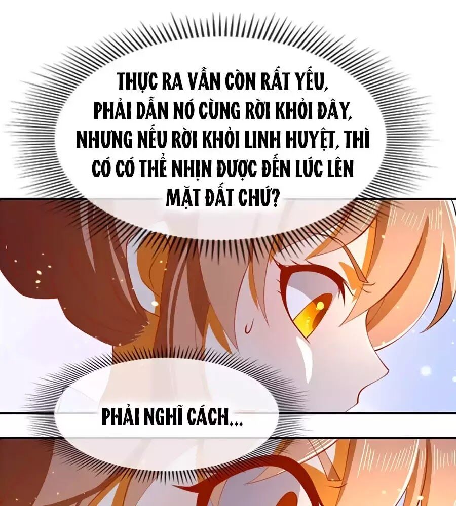 Khuynh Thành Cuồng Phi Của Tà Vương Chapter 125 - Trang 2