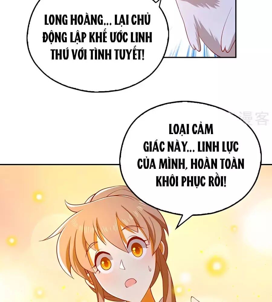 Khuynh Thành Cuồng Phi Của Tà Vương Chapter 125 - Trang 2