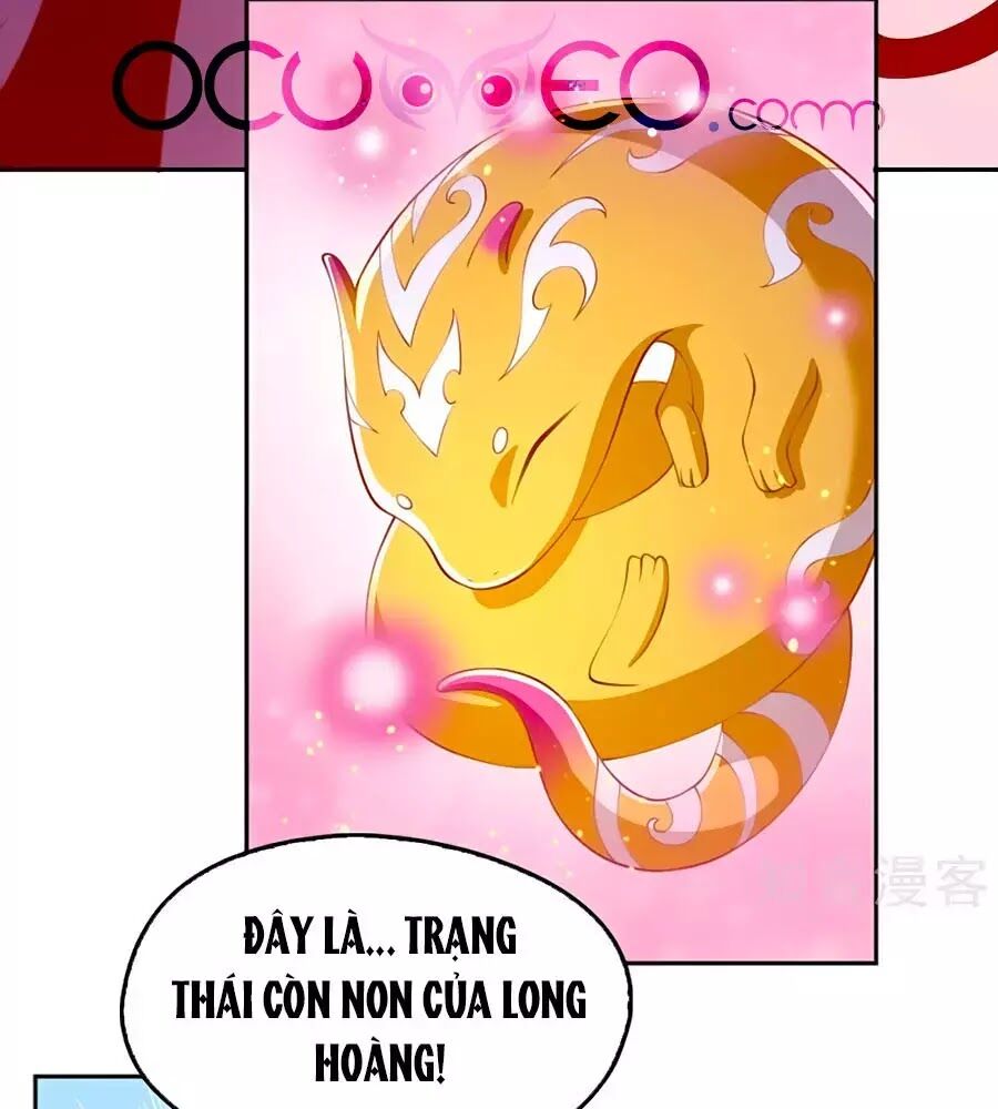 Khuynh Thành Cuồng Phi Của Tà Vương Chapter 125 - Trang 2