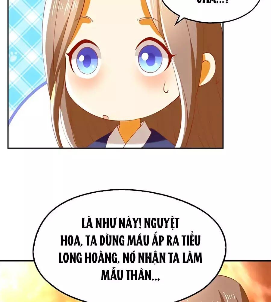 Khuynh Thành Cuồng Phi Của Tà Vương Chapter 126 - Trang 2