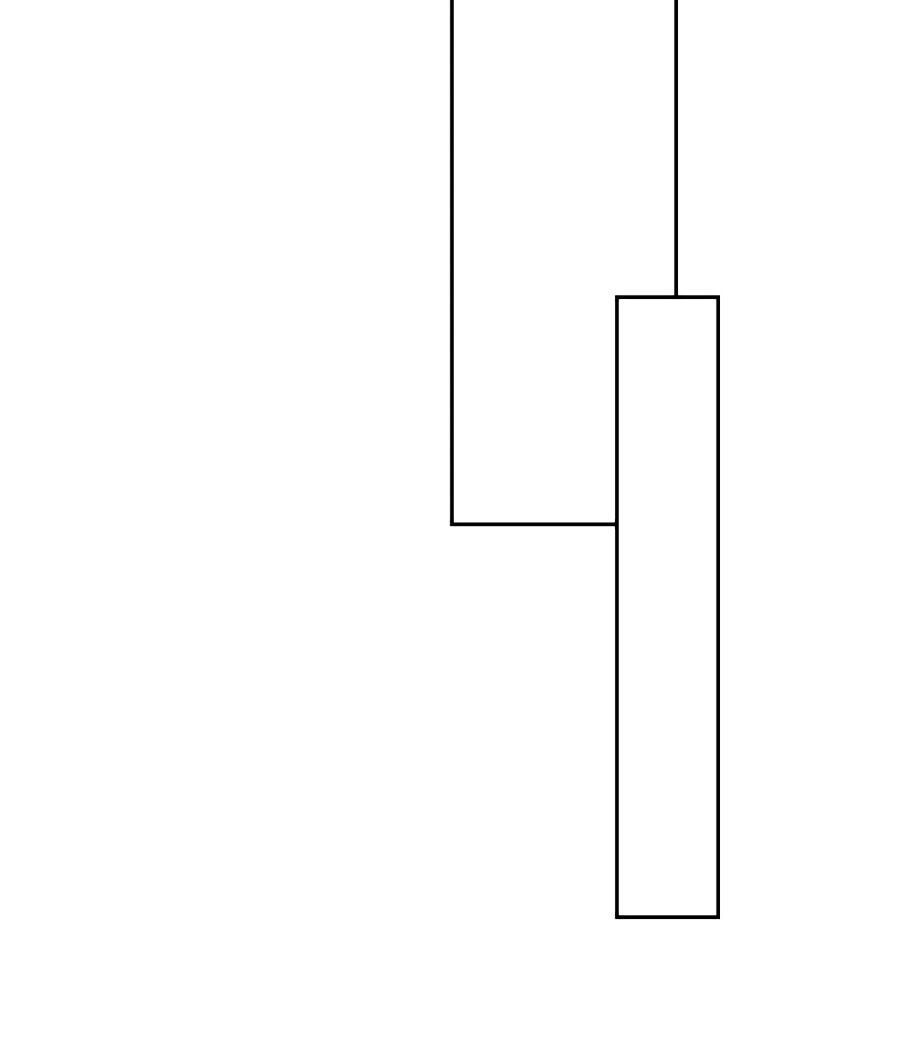 Khuynh Thành Cuồng Phi Của Tà Vương Chapter 60 - Trang 2