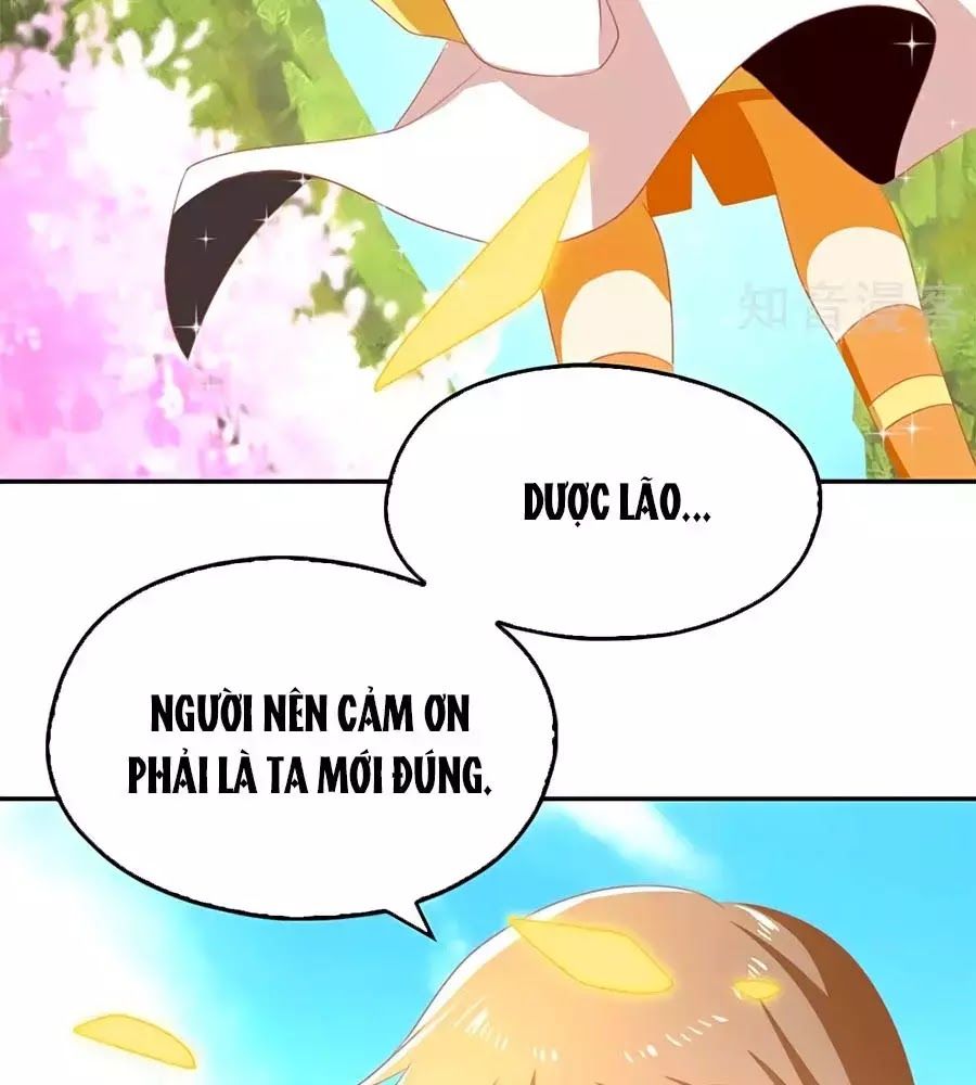 Khuynh Thành Cuồng Phi Của Tà Vương Chapter 76 - Trang 2