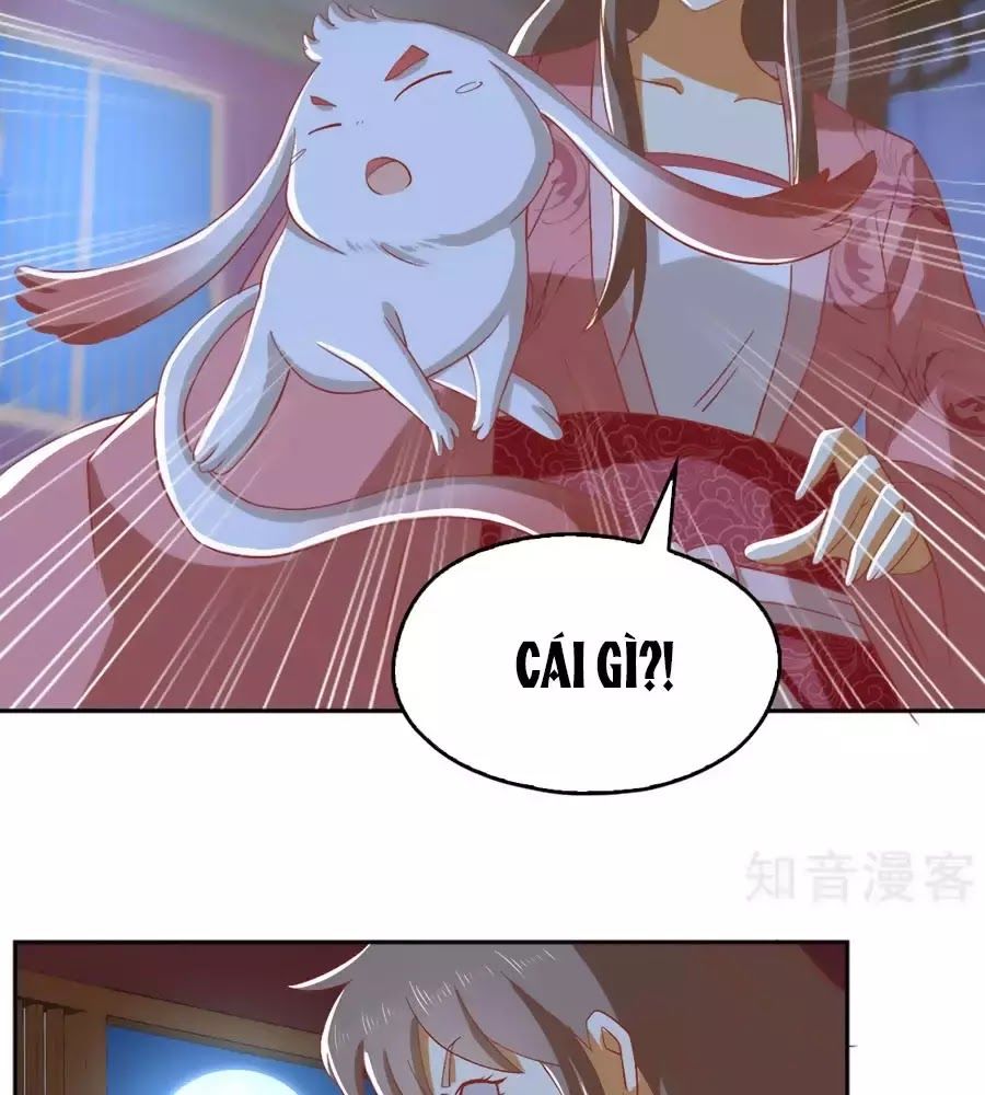 Khuynh Thành Cuồng Phi Của Tà Vương Chapter 98 - Trang 2