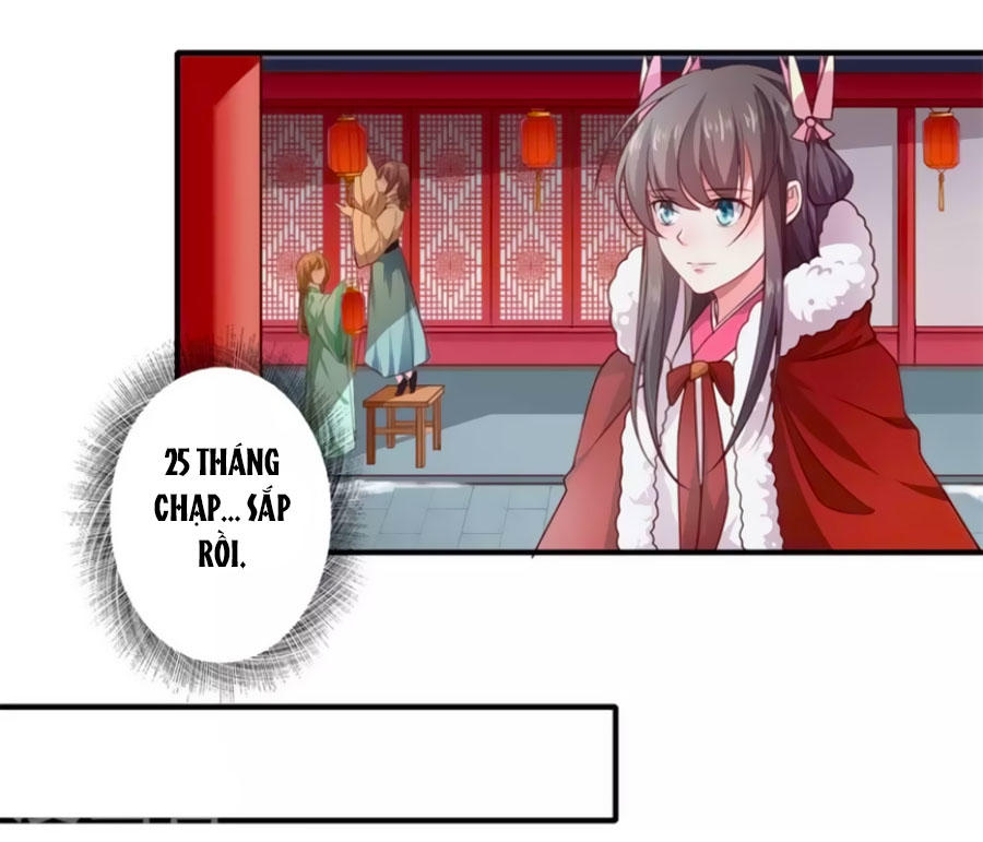 Khuynh Thế Y Phi Muốn Bỏ Chồng Chapter 51 - Trang 2