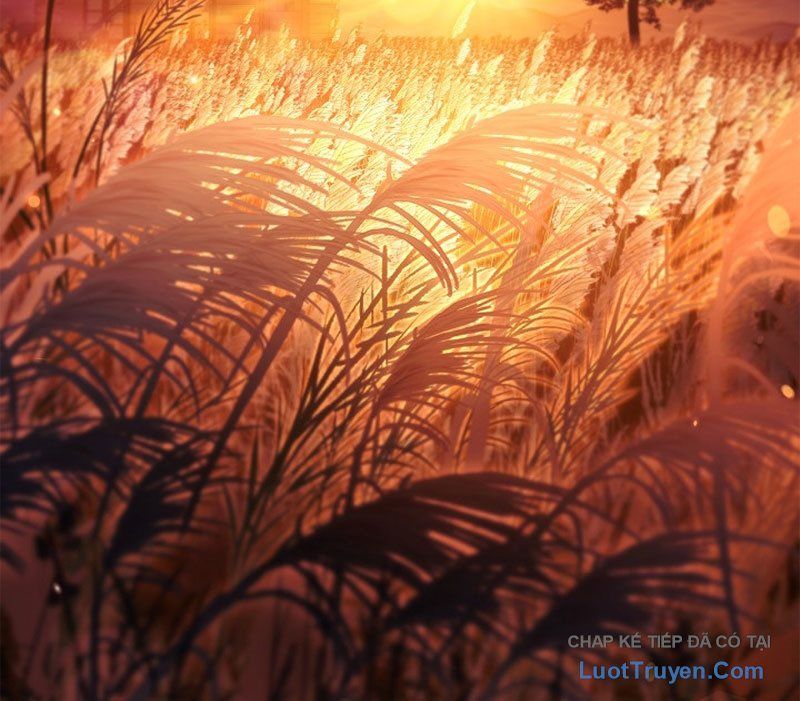 Kí Sự Hồi Quy Chapter 168 - Trang 2