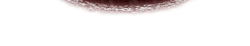 Kí Sự Hồi Quy Chapter 169 - Trang 2