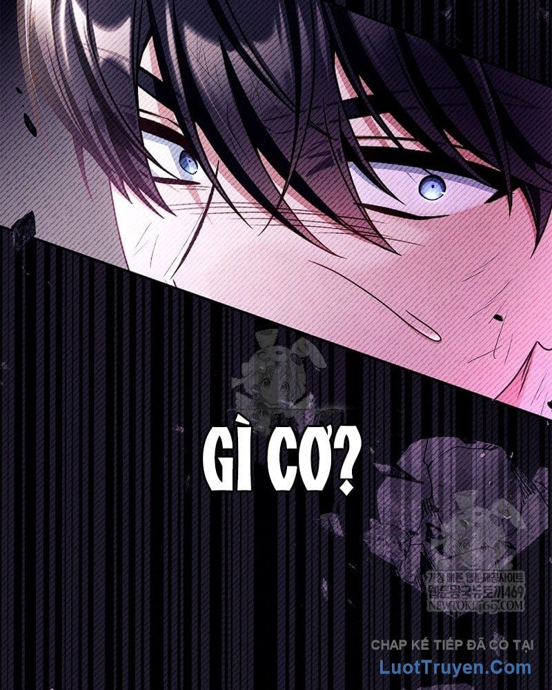 Kí Sự Hồi Quy Chapter 169 - Trang 2