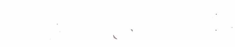 Kí Sự Hồi Quy Chapter 42 - Trang 2