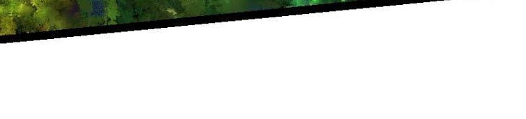 Kiếm Thần Tuyệt Thế Chapter 27 - Trang 2