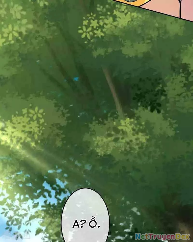 Kiếm Vực Vô Địch Chapter 97 - Trang 2