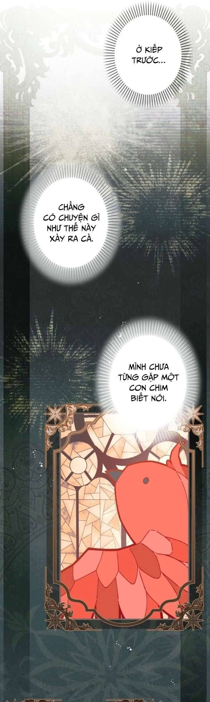 Kiếp Này Em Sẽ Không Sống Dưới Cái Bóng Của Người Chị Song Sinh Chapter 11 - Trang 2