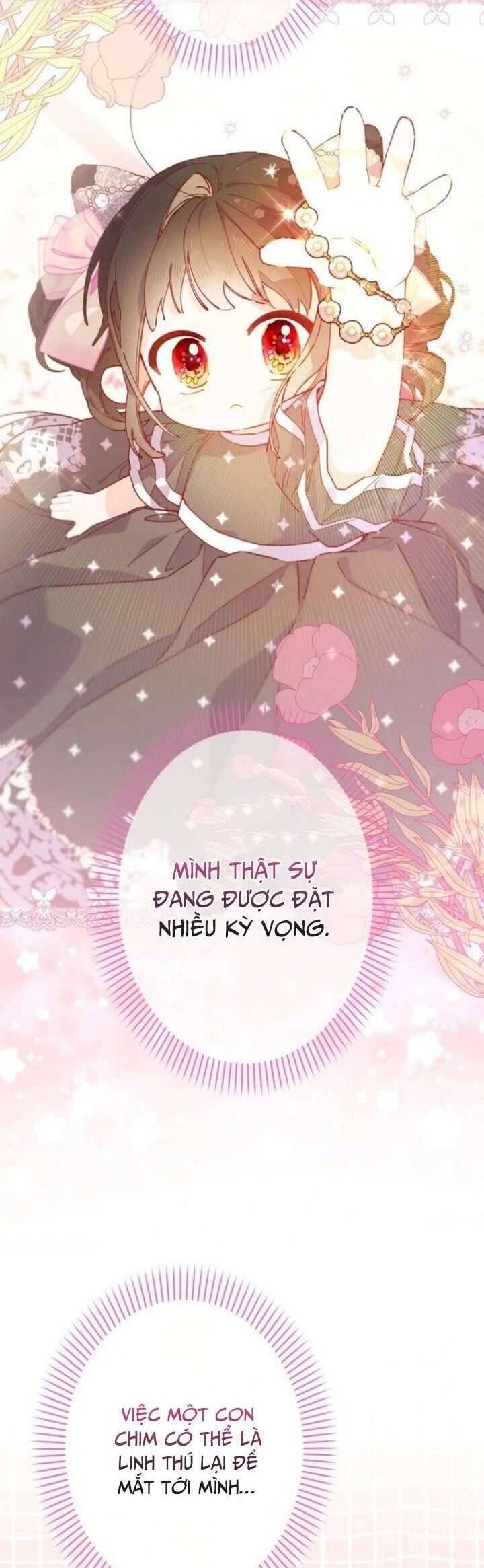 Kiếp Này Em Sẽ Không Sống Dưới Cái Bóng Của Người Chị Song Sinh Chapter 14 - Trang 2