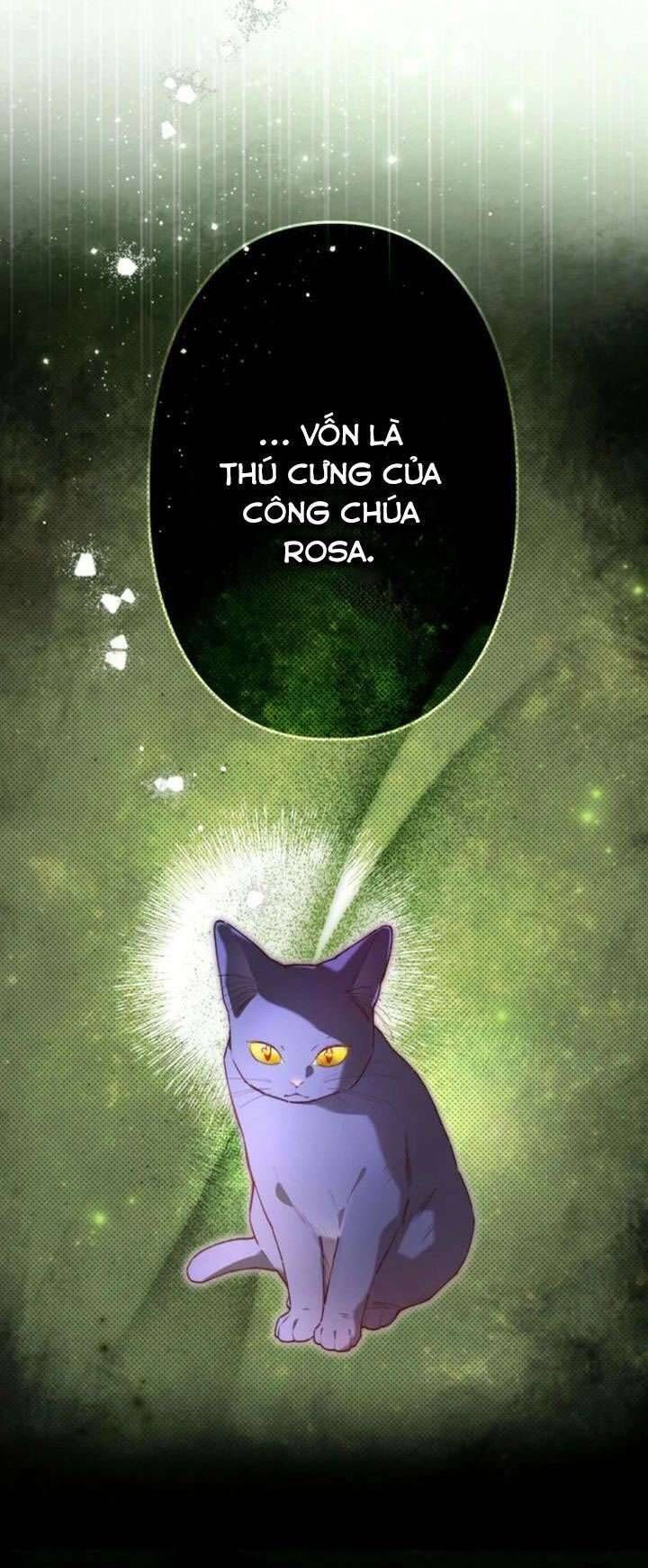 Kiếp Này Em Sẽ Không Sống Dưới Cái Bóng Của Người Chị Song Sinh Chapter 8 - Trang 2