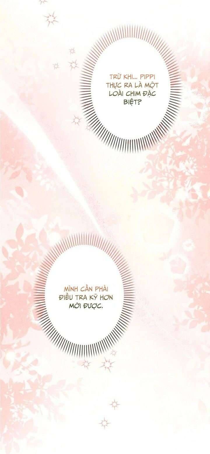 Kiếp Này Em Sẽ Không Sống Dưới Cái Bóng Của Người Chị Song Sinh Chapter 8 - Trang 2