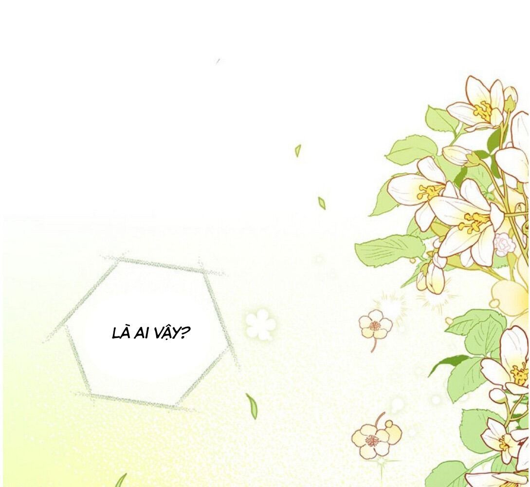 Kiếp Này, Tôi Sẽ Trở Thành Gia Chủ Chapter 14 - Trang 2