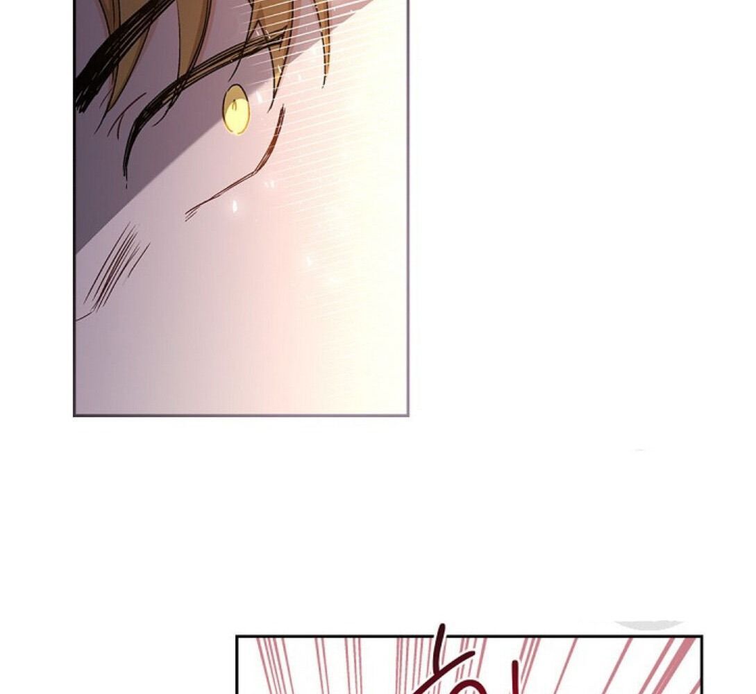 Kiếp Này, Tôi Sẽ Trở Thành Gia Chủ Chapter 15 - Trang 2